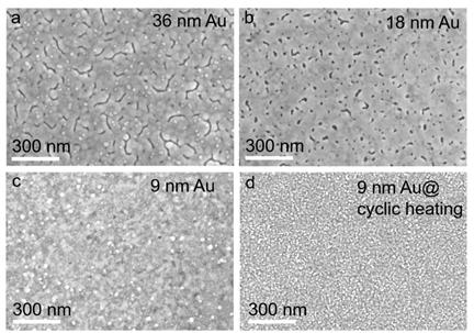열처리에 의해 Si (111) 기판 상에 에피택시 성장 된 36, 18 및 9 nm 두께의 Au 막의 FE-SEM 이미지. (d) 주기적 가열 공정에 의해 제조 된 Si (111) 기판 상에 에피택시 성장 된 9 nm 두께 Au 막의 FE-SEM 이미지