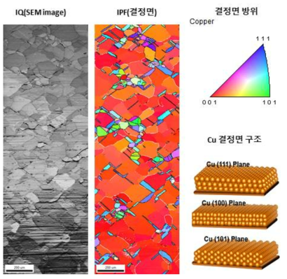 열처리 구리 기판의 결정면 방위 및 분포