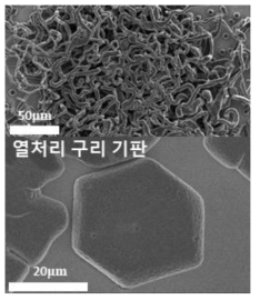 일반 구리 기판과, 열처리 금속 기판에서의 리튬 증착 형태 분석