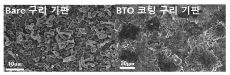 일반 구리 기판, BTO 코팅 구리 기판에서의 리튬 증착 거동