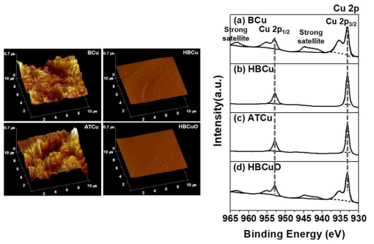 열처리 및 화학적 에칭을 통한 구리 기판 표면분석 ( 좌 : AFM, 우 : XPS )