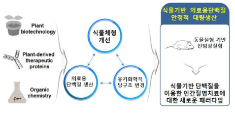 과제수행 개요도