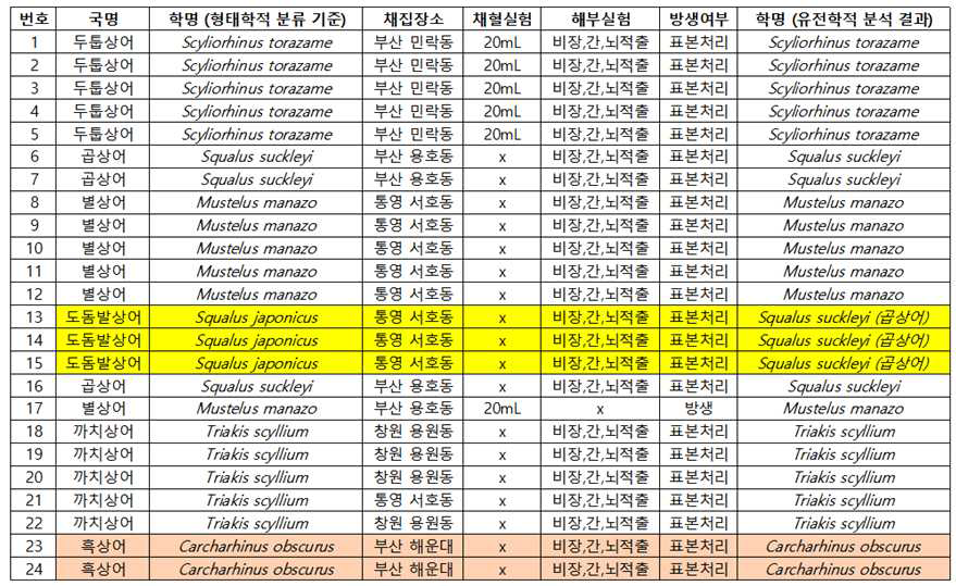 확보한 국내 연안 서식 상어 목록 * 두툽상어 5종, 곱상어 6종, 별상어 6종, 까치상어 5종, 흑상어 2종 (도돔발상어로 형태학적으로 명명했던 13~15번 개체는 유전학적 분석결과 곱상어로 확인 됨)