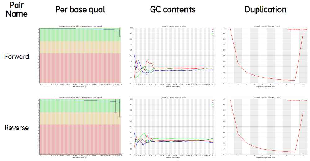 까치상어 de novo sequencing QC 결과