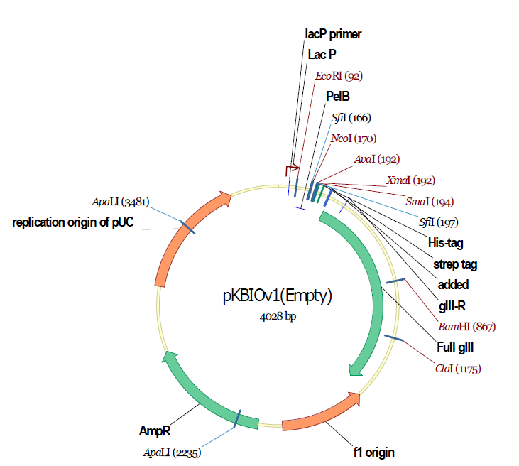 pKBIO의 vector map