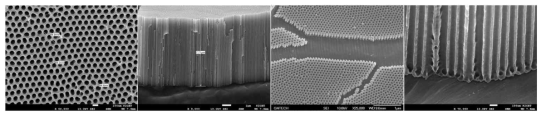 알루미늄을 이용하여 제조된 다공성 나노 구조체 이미지