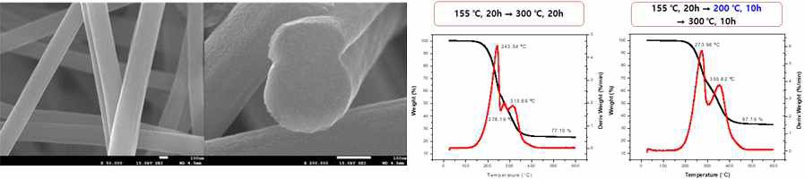 다공성 탄소나노섬유를 이용한 탄소/유황 복합체의 TGA 및 SEM 분석 결과
