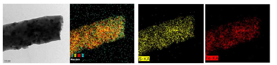 FeS/SPAN 나노섬유 복합체의 TEM 사진 및 EDS Fe, S mapping 사진