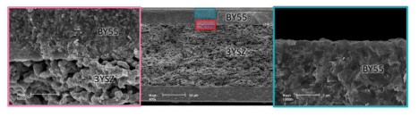 복층형 고체전해질 상변환체(BY55/3YSZ)의 단면 미세구조
