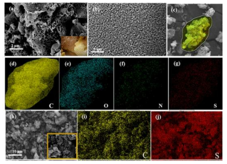 커피찌꺼기로부터 제조된 벌집 모양의 탄소구조체의 SEM 및 EDS mapping 사진