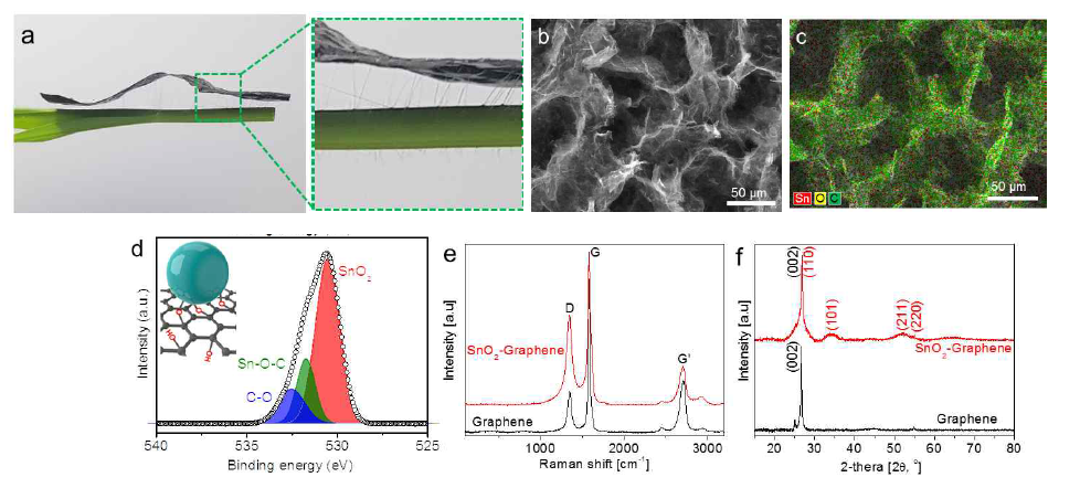 (위) 3차원 SnO2-그래핀 에어로필름의 사진, 그래핀 에어로필름의 SEM 이미지와 SnO2-그래핀 에어로필름의 EDS, (아래) SnO2-그래핀 에어로필름의 분광학적 분석