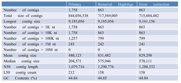 Purge_Haplotigs와 short-reads error correction 이후의 Genome assembly 요약