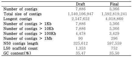 C. sandai의 draft 및 최종 genome assembly 결과