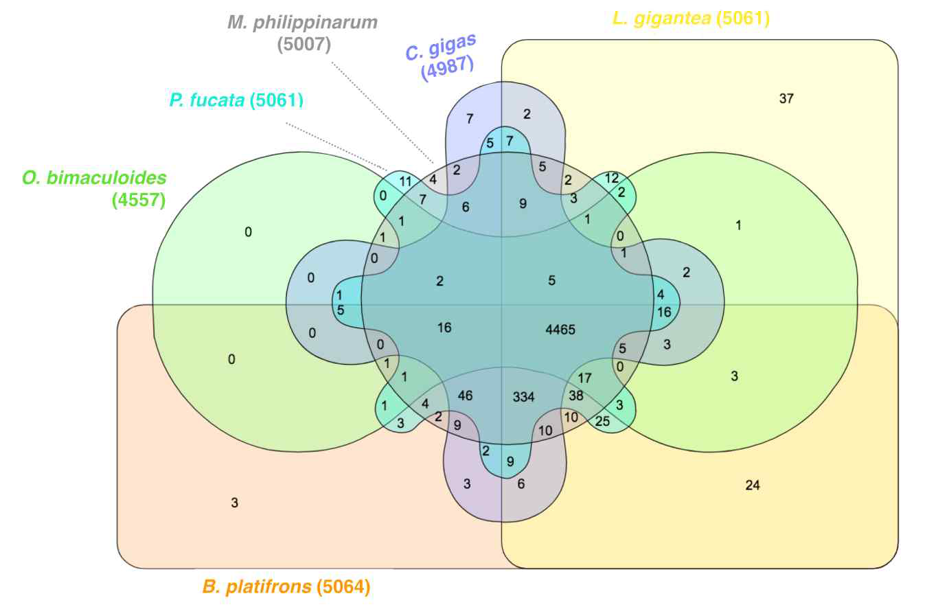 근연종의 protein 서열과의 homology에 기반한 C. sandai genome의 gene prediction 결과 venn diagram