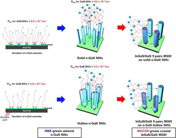 Schematic representation of the growth mechanism for both hollow and solid NWs