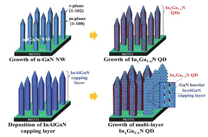 Schematics of coaxial InxGa1-xN/GaN NW + NQD LED