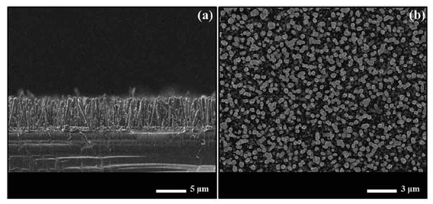 FESEM image of InGaN/GaN NW + QD. (a) side view and (b) top view