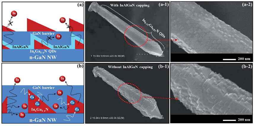 (a)~(a-2) : Effect of InAlGaN capping layer on InGaN QDs formation and related FE-SEM image. (b)~(b-2) : the case without InAlGaN capping layer