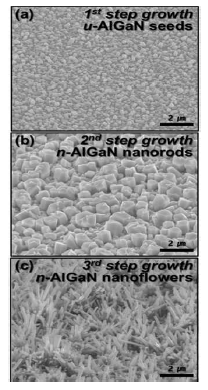 (a) FE-SEM image of u-AlGaN seeds after 1ststep of growth; (b) FE-SEM image of n-AlGaN nanorods after 2nd step of growth and (c) FE-SEM image of the n-AlGaN nanoflowers after 3rd step of growth - left