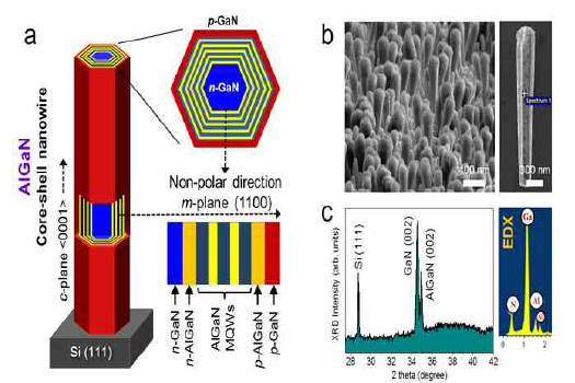 Schematic illustration of AlGaN core–shell MQW nanowire LED structure on Si (111) substrate