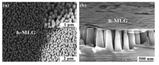 h-MLG을 electrodes로 사용한 nanopillar LED의 SEM 이미지, (a) top view, (b) tilt view