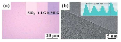 (a) SiO2/Si 기판 위에 전사된 1-LG의 광학현미경 이미지, (b) h-MLG의 cross-sectional TEM 이미지