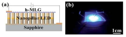 (a) h-MLG을 electrodes로 사용한 nanopillar LED의 구조, (b) 발광사진 (주입전류 100 mA)