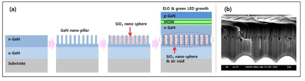 (a) Schematic illustration and (b) cross-sectional SEM image of the InGaN/GaN green LED on porous n-GaN template