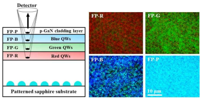 Fluorescence microscope images of a white-LED