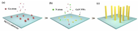 Schematic illustration for the formation of GaN NWs by using GaPD