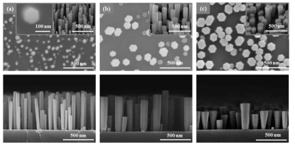 (Top) Plan-view and (bottom) cross-sectional FE-SEM images for GaN NWs