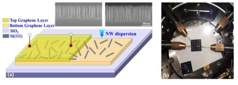 (a) Schematic diagram for a photo-sensor (solar cell) based on GaN NWs and graphene sandwich, and (b) an image for a photo-sensor taken during characterization