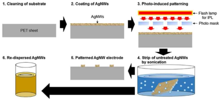 Schematic illustration of the photo-induced recyclable patterning process