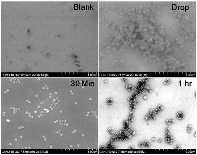 FESEM images of Ag@SiO2 core-shell NPs loaded GaN LEDs with different deposition times