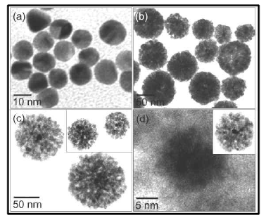 TEM images of Au/Cu2O core-shell NPs with different sizes (a) 70-80nm, (b) 80-100nm, (c) 300-400nm