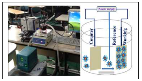 The photograph and schematic diagram of electrophoresis deposition setup
