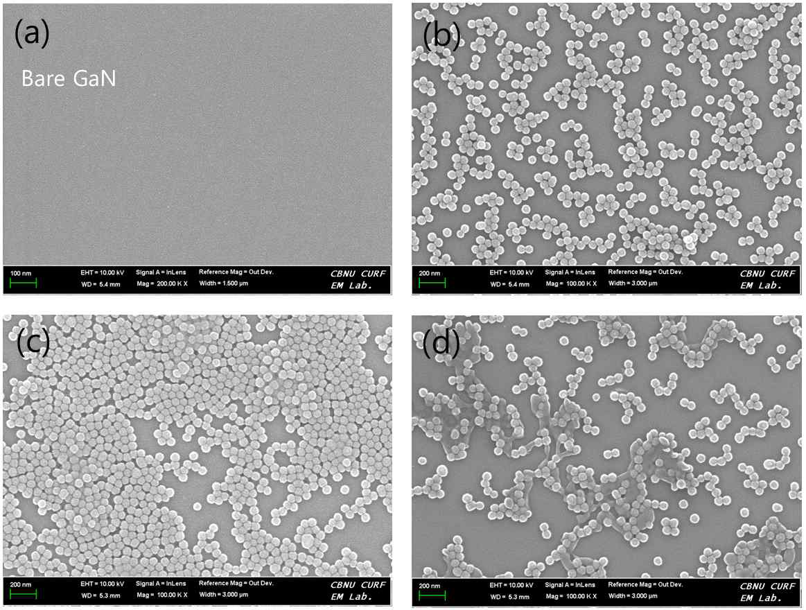 FESEM images of the surface of GaN wafer before and after deposition of Ag/SiO2 core-shell NP QD by using EPD process with different pH, (a) bare GaN, (b) 7, (c) 3, (d) 2