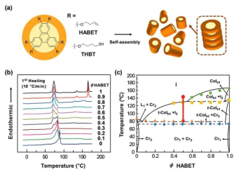 (a) Chemical structures and self-assembled columnar structures of HABET and THBT; (b) first heating DSC thermograms of HABET-THBT mixtures; (c) temperature−composition phase diagram of HABET-THBT mixtures