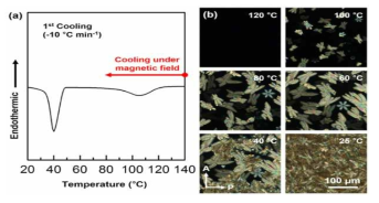 (a) The first cooling DSC diagram of the homogeneous 50HABET-50THBT mixture and (b) POM observation of the mixture upon cooling at -10°C/min