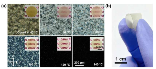 (a) POM images and their corresponding macroscopic images (insets) of DLC films polymerized at different temperatures. (c) Macroscopic image of the free-standing flexible DLC film polymerized at 80°C