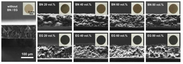 SEM cross-sectional observations of constructed DLC composites at different filler content and their corresponding macroscopic images (insets)