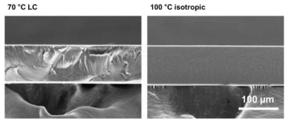 SEM cross-sectional observations of constructed PNP-6MA films cured at different temperatures