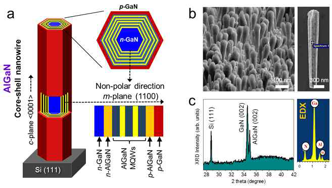 Scehmatic illustration, FE-SEM image, XRD and EDX of core-shell MQW nanowire structure