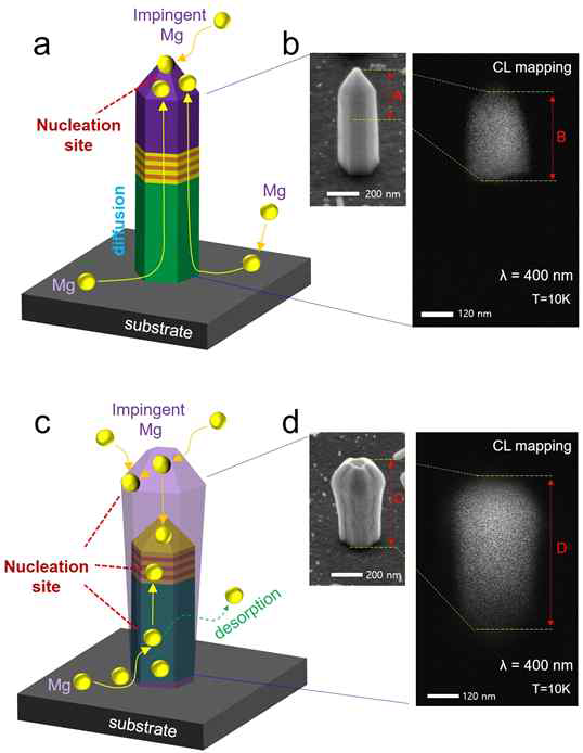 Low Mg doped nanowire (a, b) vs high Mg doped nanowire (c, d) (Schematic illustrations, FE-SEM images, CL mapping data)