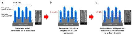 Schematic of fabrication process with FE-SEM images