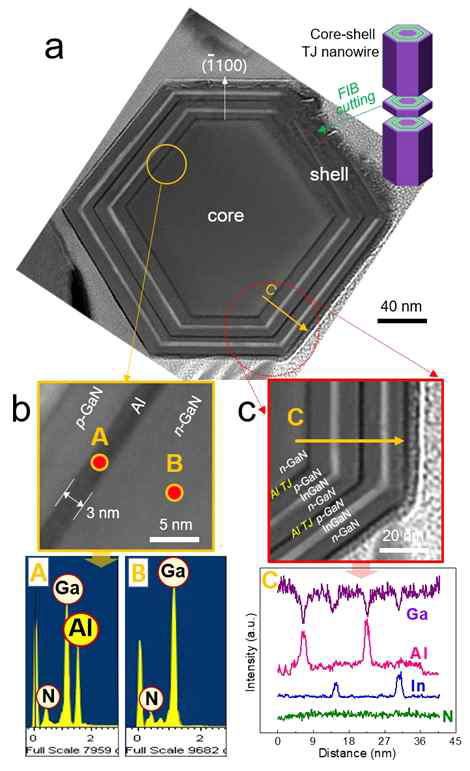 TEM image and EDX data