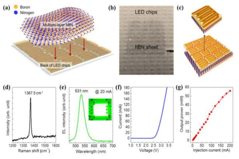 (a) Schematic diagram for transferring multiple hBN on a LED wafer, (b) optical image of LED chips with hBN sheet, (c) single LED chip, (d) Raman spectrum for the hBN sheet, (e) EL spectrum of the LED chip, (f) current-voltage, and (g) output power-current characteristic curves of the green LED chip