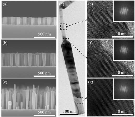 FE-SEM and HRTEM images of a GaN NW