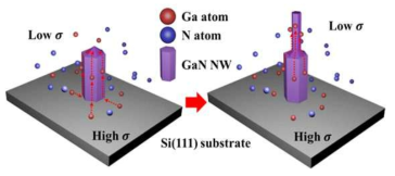 Schematic for the formation of a GaN NW with a funnel shape