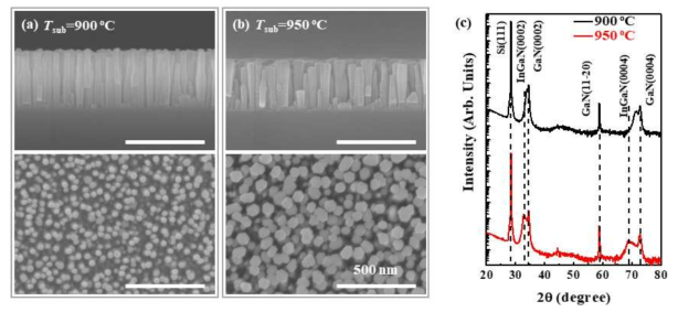 FE-SEM images of InGaN nanowires grown at the substrate temperature of (a) 900 and (b) 950 ℃. (c) DCXRD rocking curves of InGaN NWs